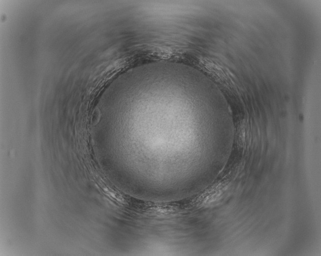 X0000089701105200706211311