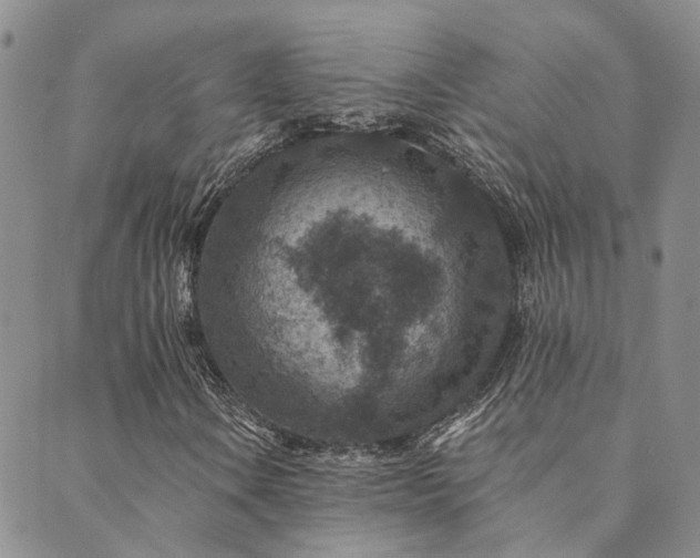 X0000089701106200706211311