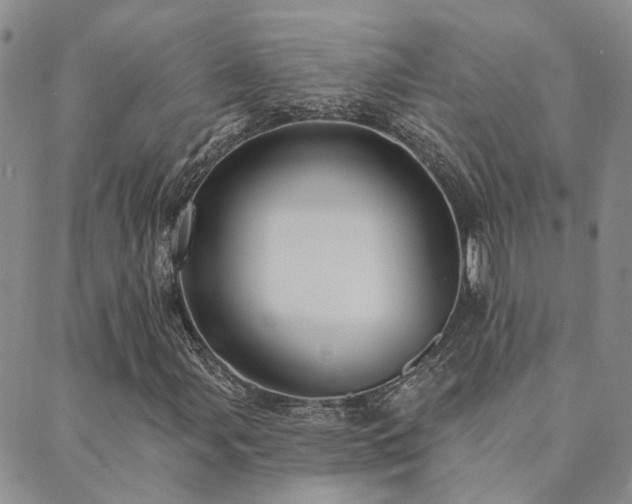 X0000089701107200706211311