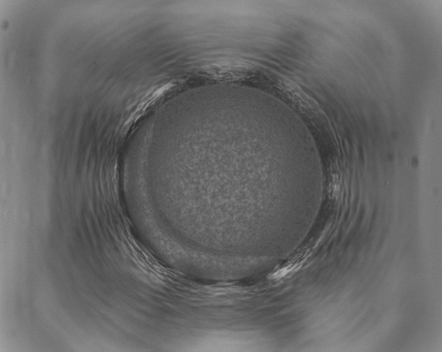 X0000089701108200706211311