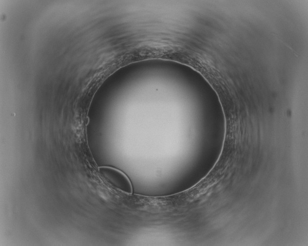 X0000089701109200706211311