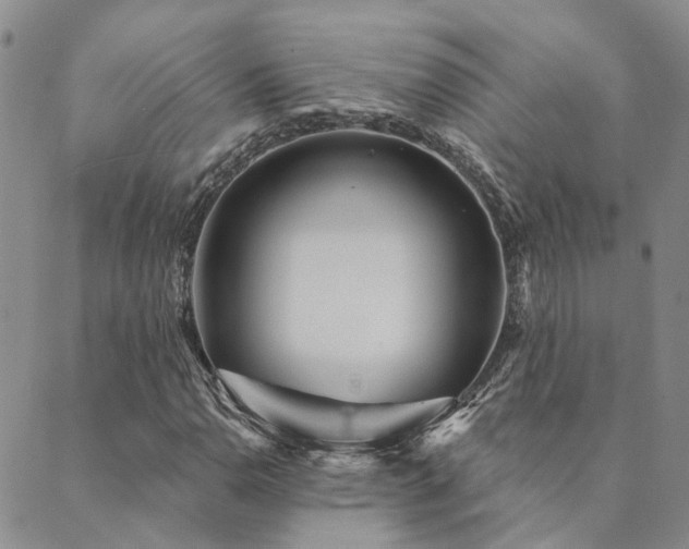 X0000089701110200706211311