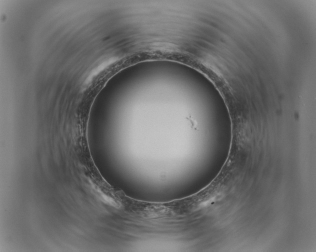 X0000089701112200706211311