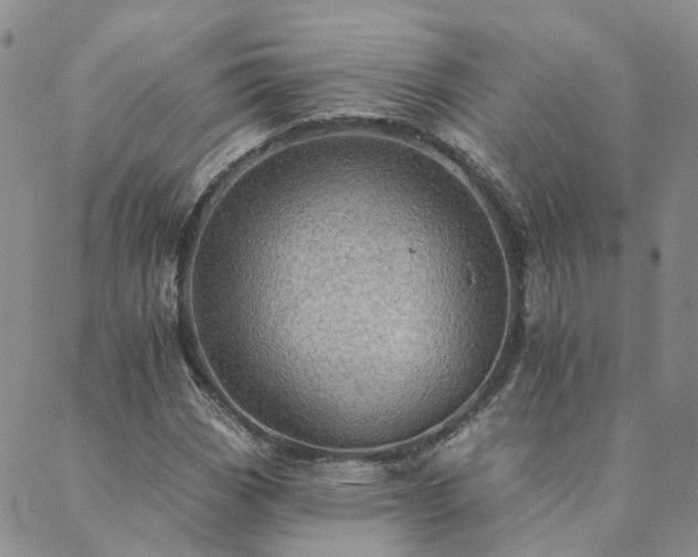 X0000089701113200706211311