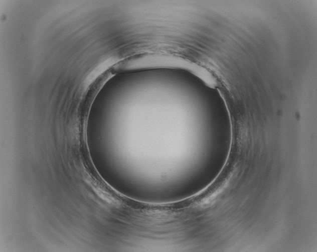 X0000089701114200706211311