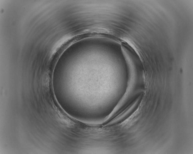 X0000089701115200706211311