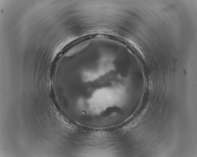 X0000089701117200706211311