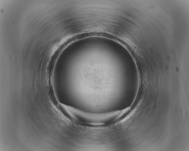 X0000089701118200706211311