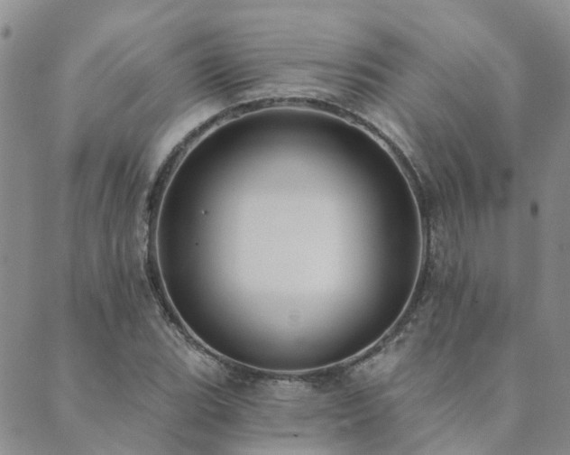 X0000089701119200706211311