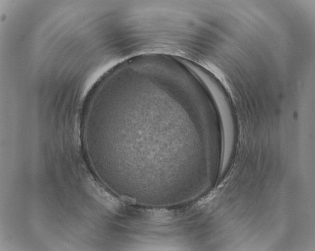 X0000089701120200706211311