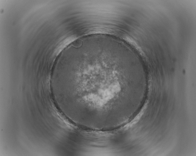 X0000089701121200706211311