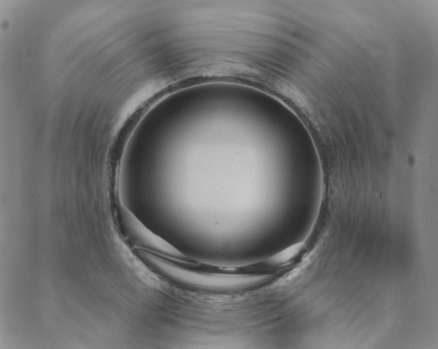 X0000089701122200706211311