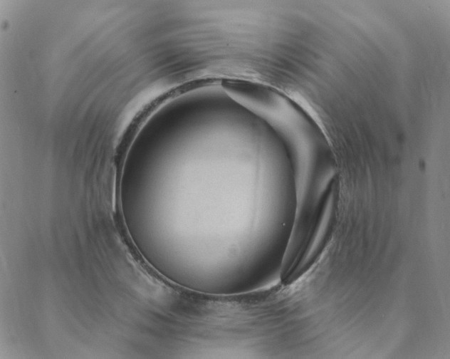 X0000089701123200706211311