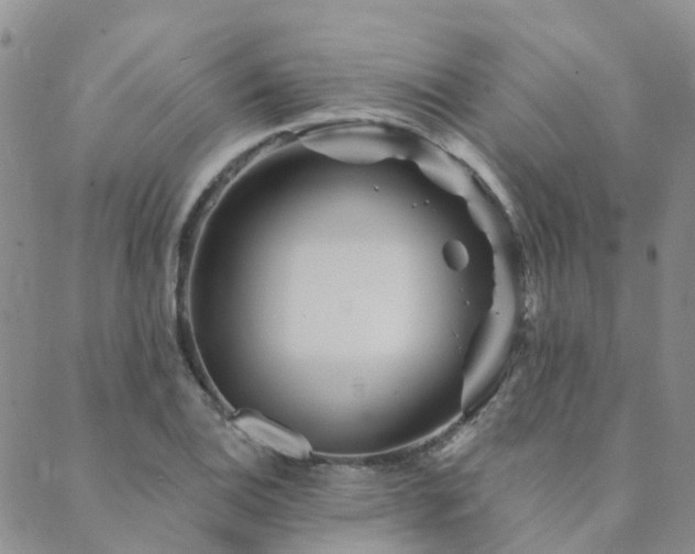 X0000089701124200706211311