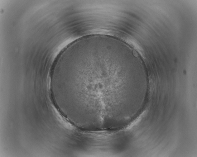 X0000089701125200706211311