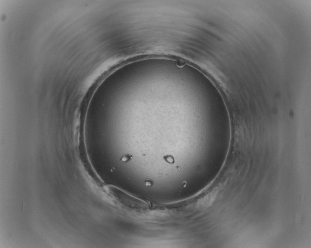 X0000089701126200706211311