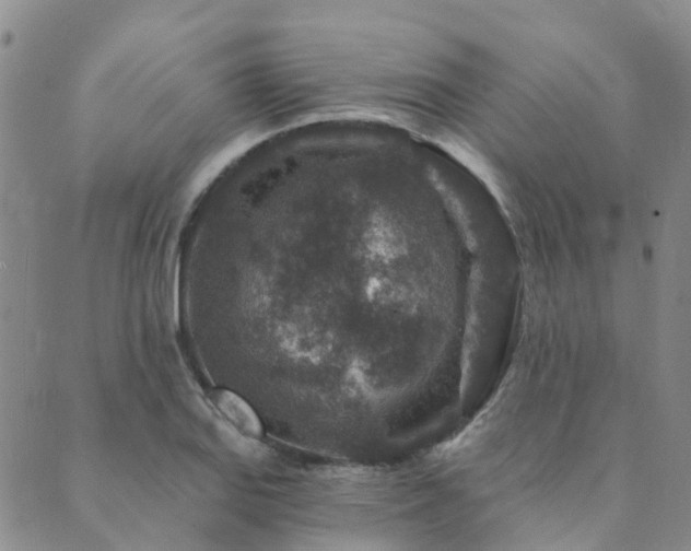 X0000089701127200706211311