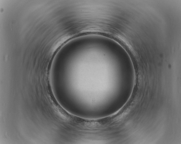 X0000089701129200706211311