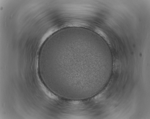 X0000089701130200706211311