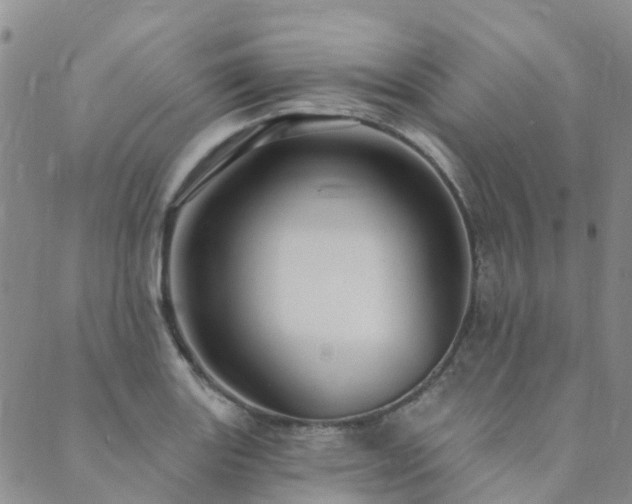 X0000089701131200706211311