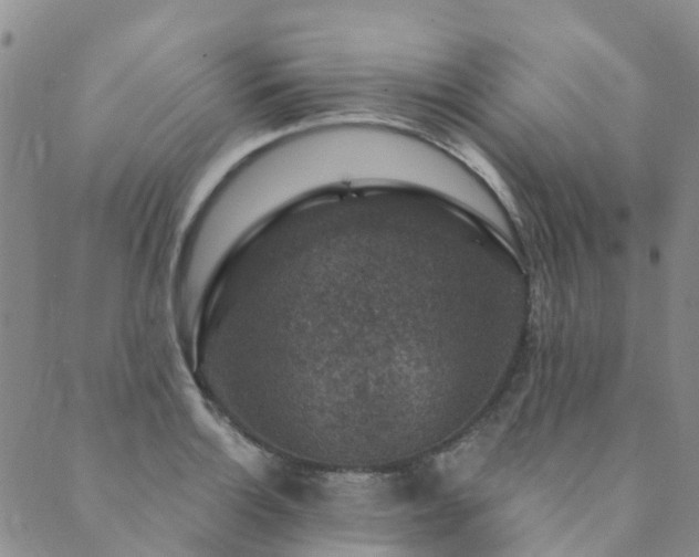 X0000089701132200706211311