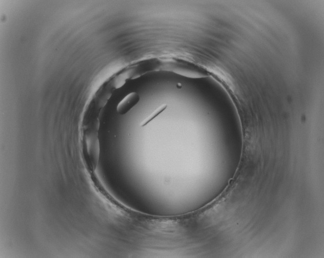 X0000089701135200706211311