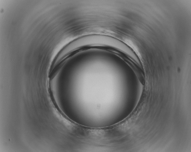 X0000089701136200706211311