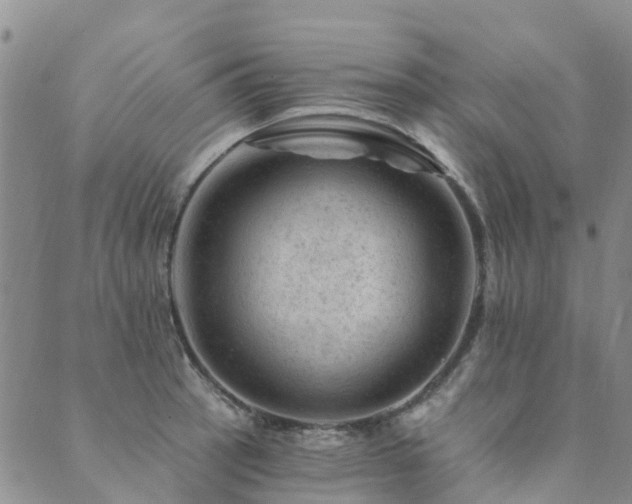 X0000089701137200706211311