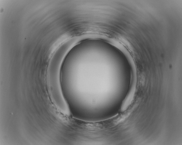 X0000089701138200706211311