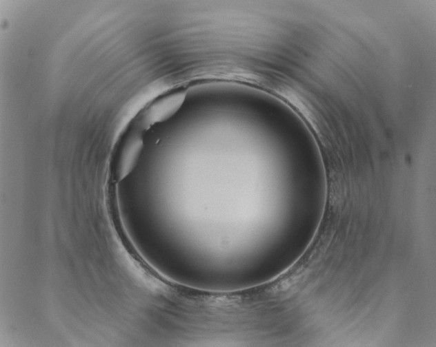 X0000089701139200706211311