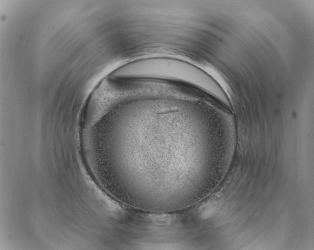 X0000089701142200706211311