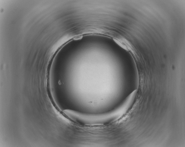 X0000089701143200706211311