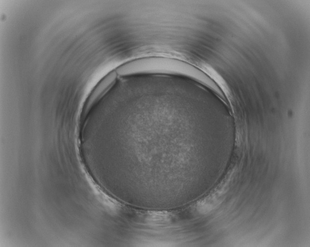 X0000089701144200706211311