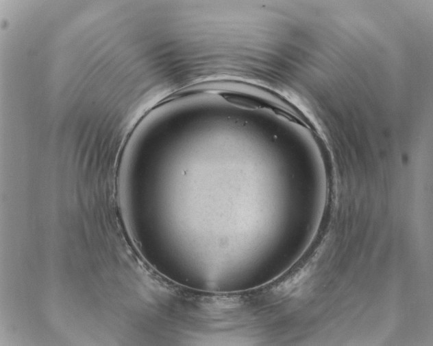 X0000089701145200706211311