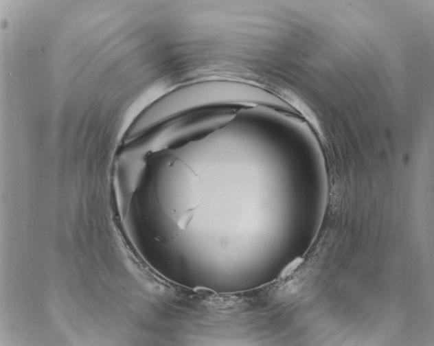 X0000089701146200706211311