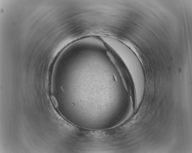 X0000089701147200706211311