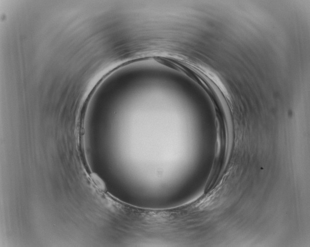 X0000089701148200706211311