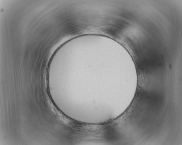 X0000089701150200706211311