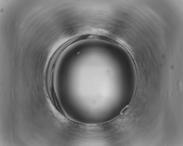 X0000089701152200706211311