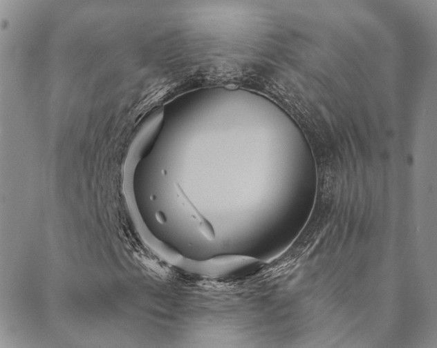 X0000089701153200706211311