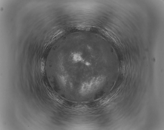 X0000089701154200706211311