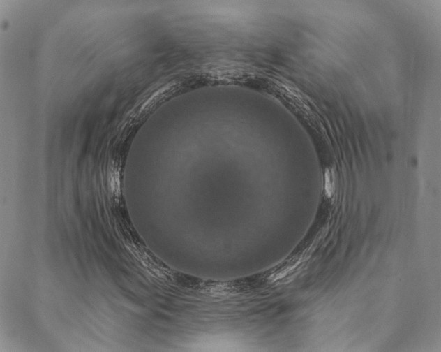 X0000089701155200706211311