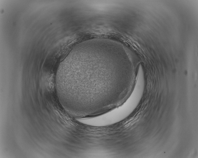 X0000089701156200706211311