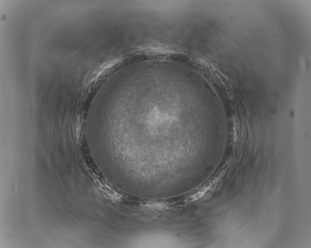 X0000089701157200706211311