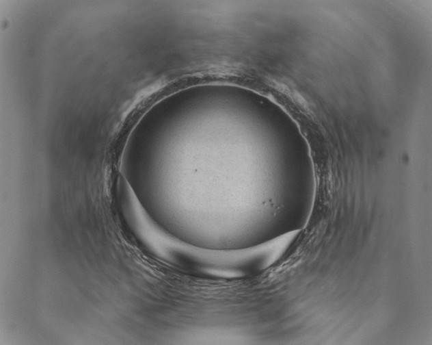 X0000089701160200706211311