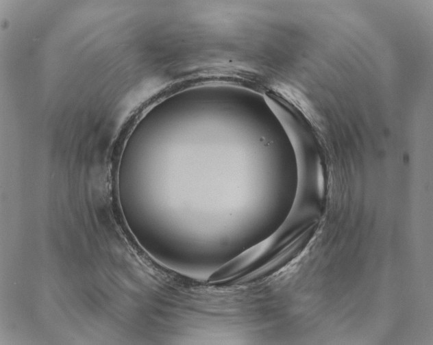 X0000089701164200706211310