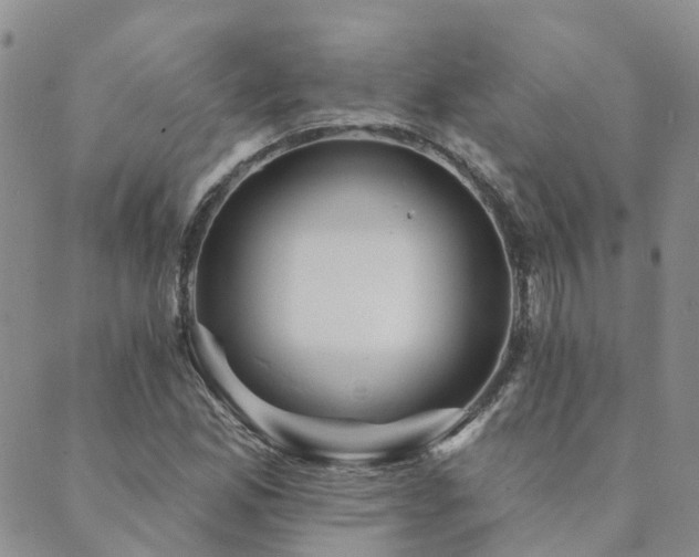 X0000089701165200706211310