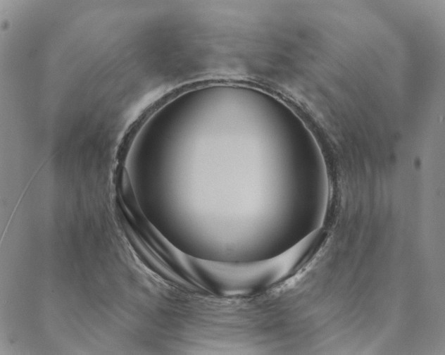 X0000089701168200706211310