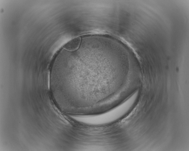 X0000089701171200706211310