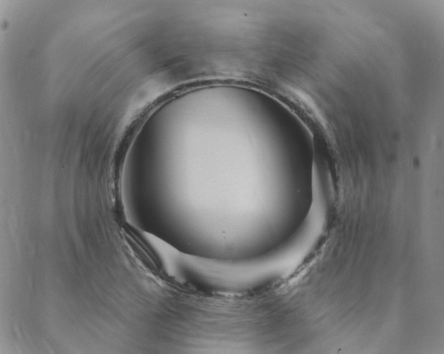 X0000089701172200706211310